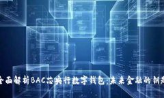全面解析BAC芯央行数字钱包：未来金融的钥匙
