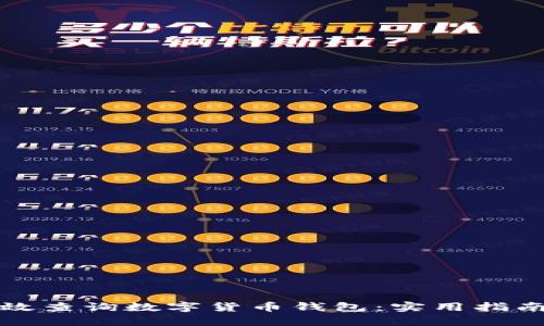 如何有效查询数字货币钱包：实用指南与技巧