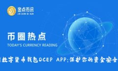 如何下载和使用数字货币钱包DCEP APP：保护你的资