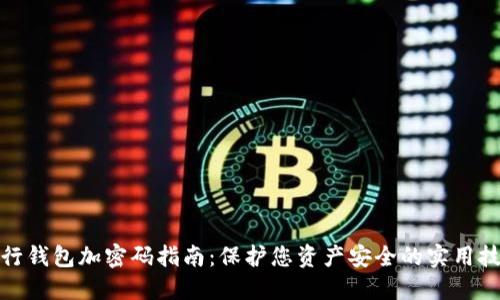 建行钱包加密码指南：保护您资产安全的实用技巧