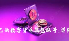 如何搭建自己的数字货币钱包账号：详细步骤与