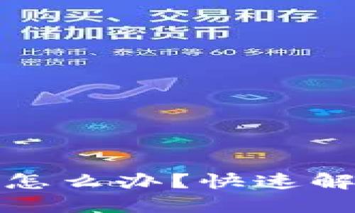 数字钱包升级出错怎么办？快速解决方案与实用技巧