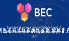 如何利用Sollet钱包进行高效区块链查询，实现资