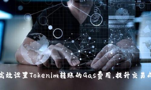 如何高效设置Tokenim转账的Gas费用，提升交易成功率