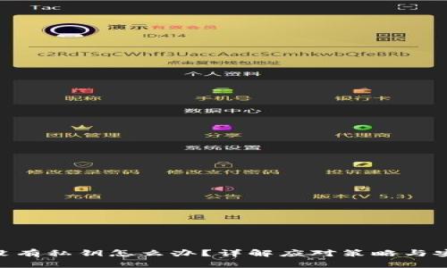 Tokenim没有私钥怎么办？详解应对策略与安全性提升