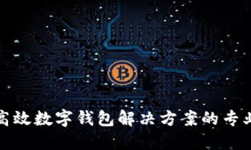 打造高效数字钱包解决方案的专业团队