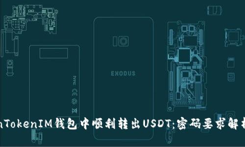 如何在TokenTokenIM钱包中顺利转出USDT：密码要求解析与操作指南