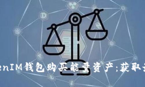如何通过TokenTokenIM钱包购买能量资产：获取最大收益的方法分析