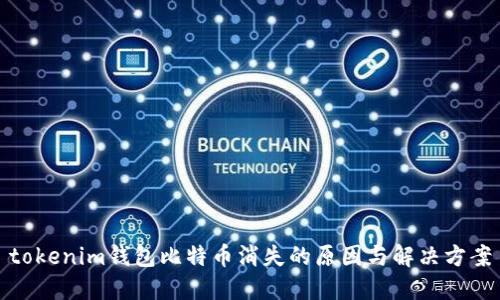 tokenim钱包比特币消失的原因与解决方案
