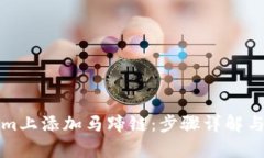 如何在Tokenim上添加马蹄链：步骤详解与用户价值