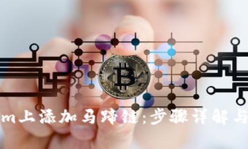如何在Tokenim上添加马蹄链：步骤详解与用户价值分析