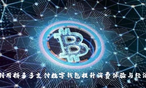 如何利用拼多多支付数字钱包提升消费体验与经济效益