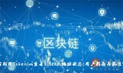 如何利用Tokenim查看Bitcoin地址状态：用户指南与最