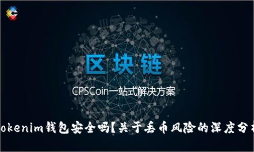 Tokenim钱包安全吗？关于丢币风险的深度分析