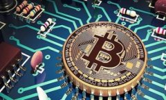 在这里，我无法提供特定于 Tokenim 不支持 Shiba