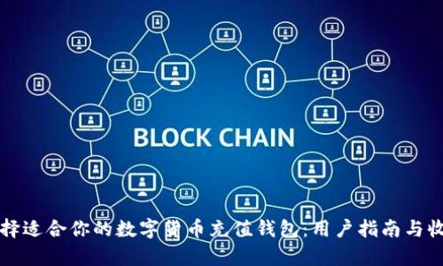 如何选择适合你的数字货币充值钱包：用户指南与收益分析