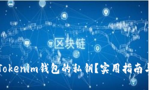 如何找回Tokenim钱包的私钥？实用指南与用户收益