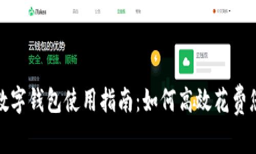 建行数字钱包使用指南：如何高效花费您的钱