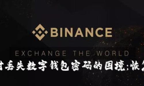 如何有效应对丢失数字钱包密码的困境：恢复与预防措施