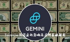 Tokenim倒闭后的影响及应对策略解析
