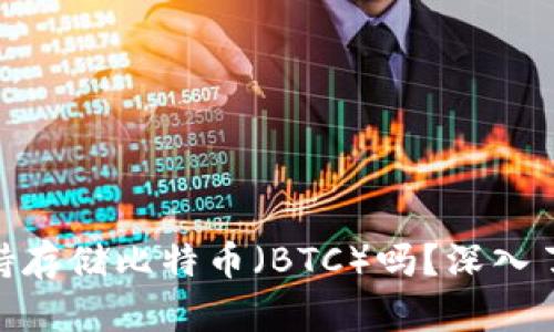 ### Tokenim支持存储比特币（BTC）吗？深入了解其功能与安全性