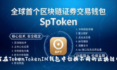 如何在TokenTokenIM钱包中切换不同的区块链网络