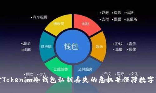 如何应对Tokenim冷钱包私钥丢失的危机并保障数字资产安全