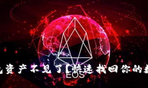 Tokenim钱包资产不见了？快速找回你的数字资产指南