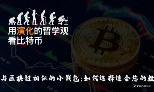 Title: 深入探索与区块链相似的小钱包：如何选择适合您的数字资产管理工具