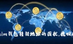 如何解决Tokenim钱包转错地址的困扰，挽回损失的