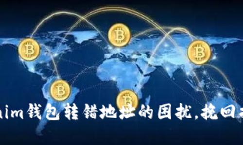 如何解决Tokenim钱包转错地址的困扰，挽回损失的实用指南