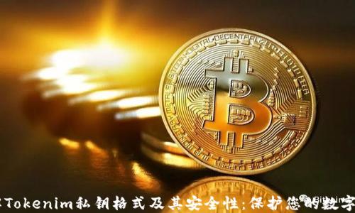 
了解Tokenim私钥格式及其安全性：保护您的数字资产