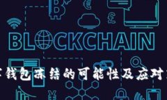 数字钱包冻结的可能性及应对策略