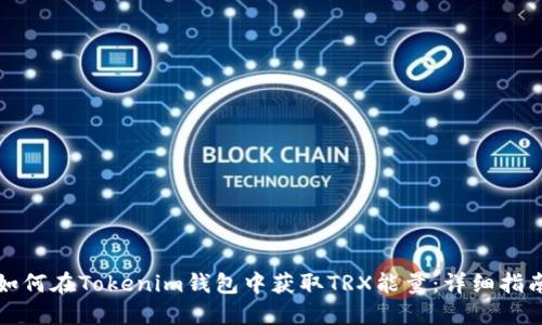 如何在Tokenim钱包中获取TRX能量：详细指南