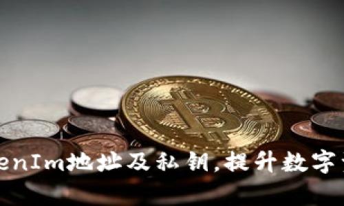 批量生成TokenIm地址及私钥，提升数字资产管理效率