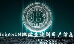 如何通过TokenIM地址查询到用户信息：全面指南
