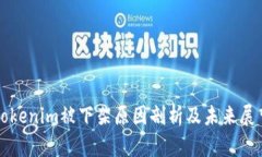 Tokenim被下架原因剖析及未来展望