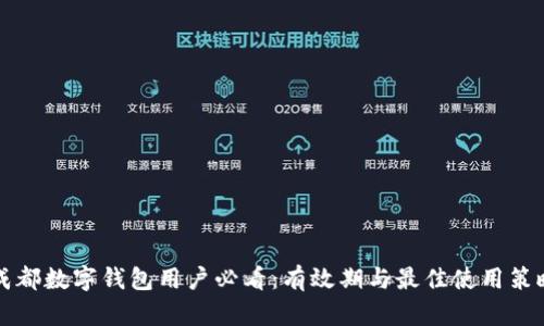 成都数字钱包用户必看：有效期与最佳使用策略