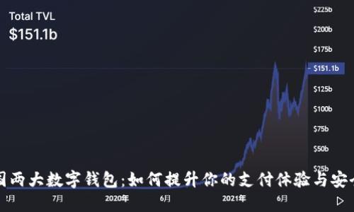 中国两大数字钱包：如何提升你的支付体验与安全性