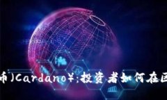 全面了解艾达币（Cardano）：投资者如何在区块链