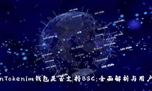 TokenTokenim钱包是否支持BSC：全面解析与用户体验
