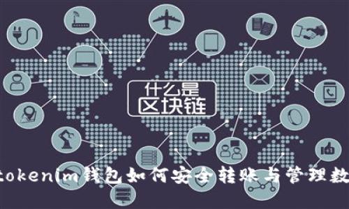 Tokentokenim钱包如何安全转账与管理数字资产