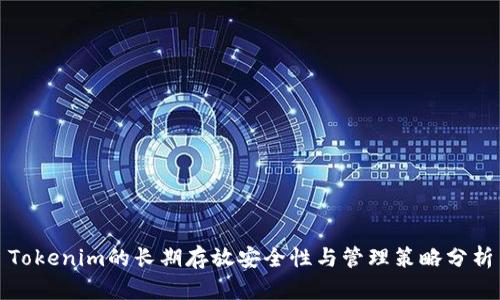 Tokenim的长期存放安全性与管理策略分析