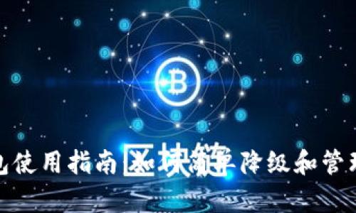 数字人民币钱包使用指南：如何简单降级和管理你的电子钱包