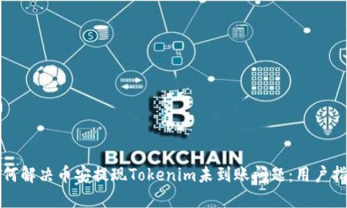 如何解决币安提现Tokenim未到账问题：用户指南