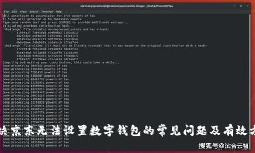 解决京东无法设置数字钱包的常见问题及有效方法