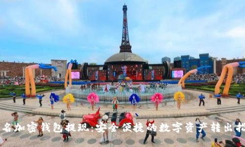 匿名加密钱包提现：安全便捷的数字资产转出指南