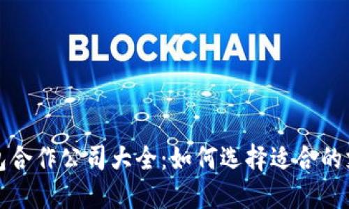 华为数字钱包合作公司大全：如何选择适合的支付解决方案