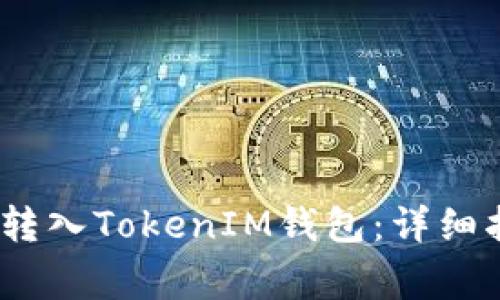 如何将SEND链转入TokenIM钱包：详细指南与注意事项