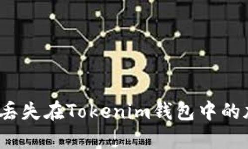 如何恢复丢失在Tokenim钱包中的加密货币？